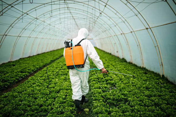 Best Ant Control Services  in Laguna Niguel, CA