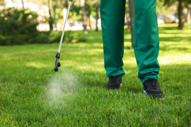 Best Exterminator Services  in Laguna Niguel, CA