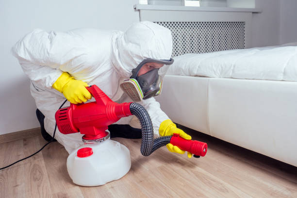 Best Mosquito Control Services  in Laguna Niguel, CA