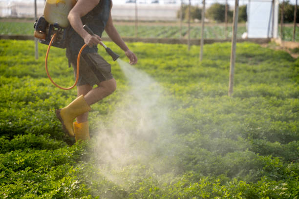 Best Mosquito Control Services  in Laguna Niguel, CA