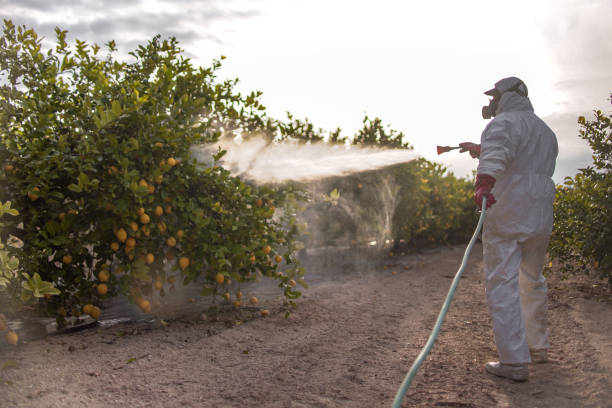 Best Residential Pest Control  in Laguna Niguel, CA