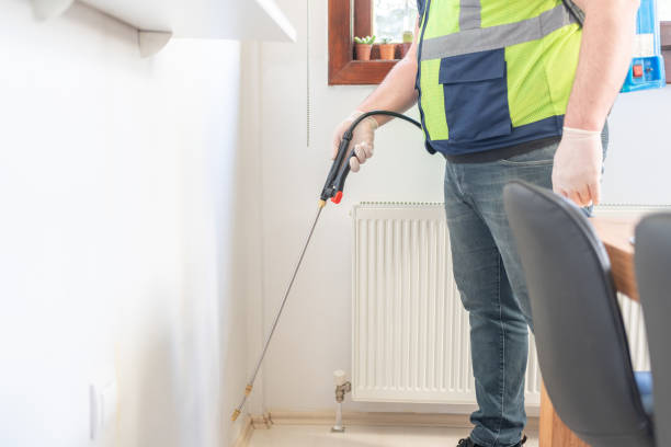 Best Local Pest Control Services  in Laguna Niguel, CA