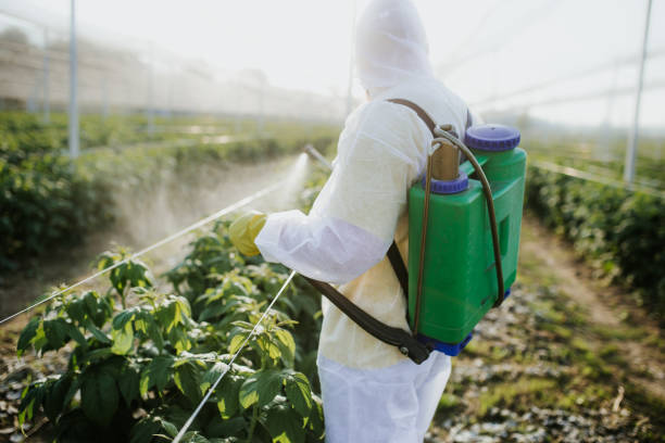Best Rat Extermination Near Me  in Laguna Niguel, CA